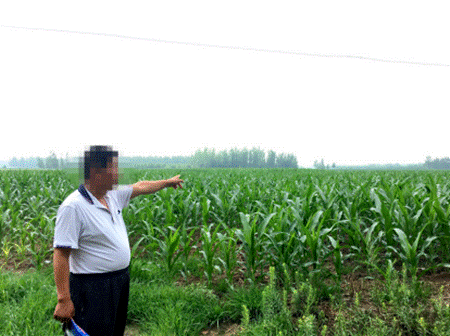 山东高密：村霸打伤他人强占耕地违规存沙无人管