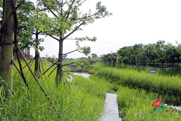 美安那内河海绵化示范段第二阶段改造现场情况.jpg