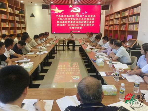高新区“两新”组织党委在非公党建服务中心组织召开支部书记专题研讨会.jpg