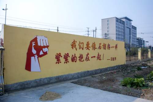 qr8_conew1.jpg