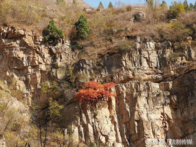 七彩全胜峡，霜叶别样红