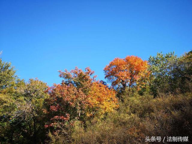 七彩全胜峡，霜叶别样红