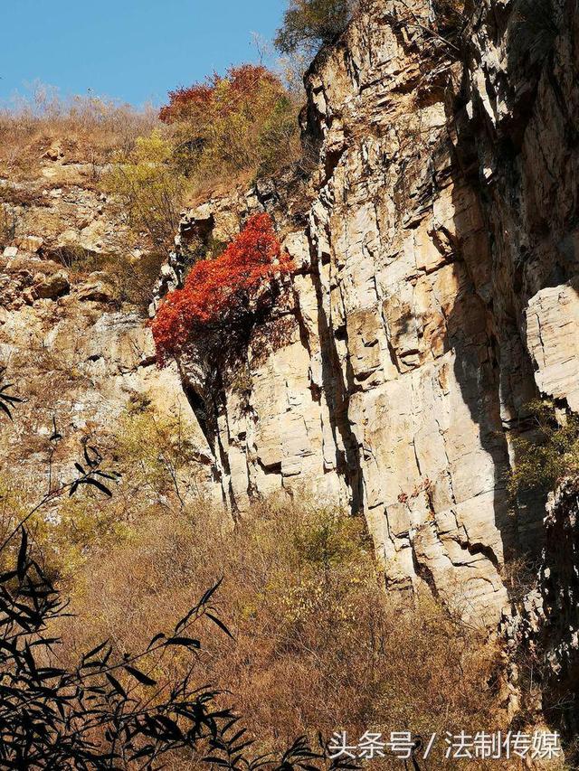 七彩全胜峡，霜叶别样红