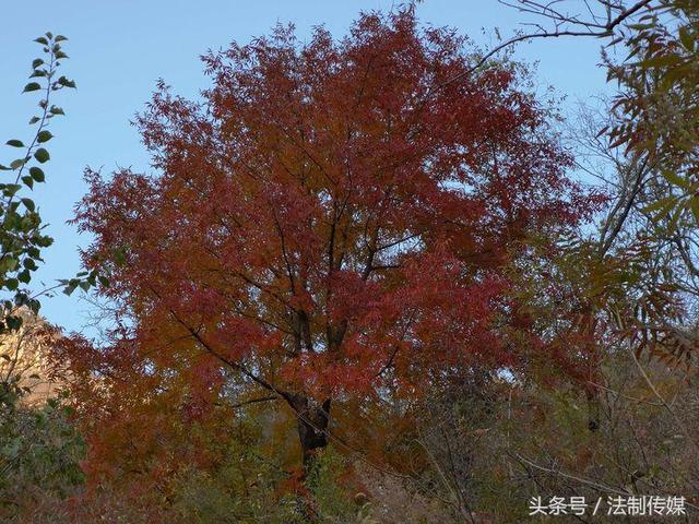 七彩全胜峡，霜叶别样红