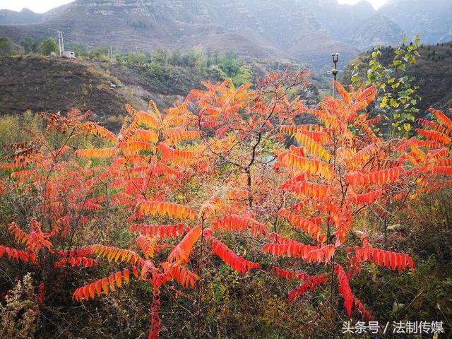 七彩全胜峡，霜叶别样红