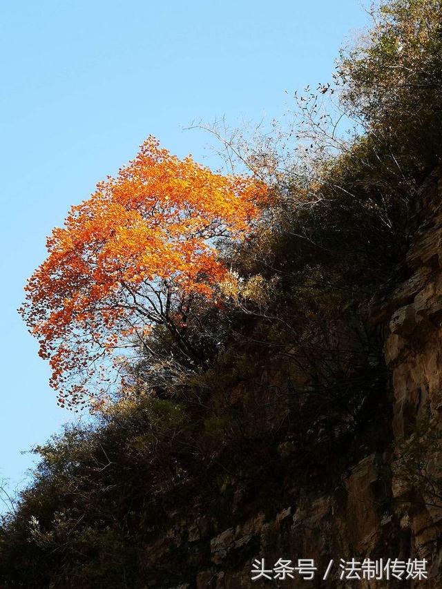 七彩全胜峡，霜叶别样红