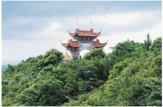 未命名-3.jpg