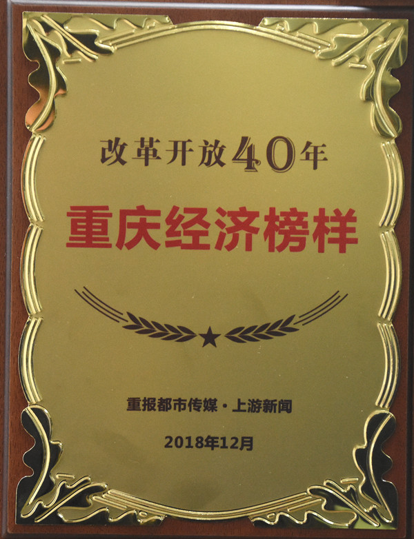 重庆经济榜样。安松 摄.JPG